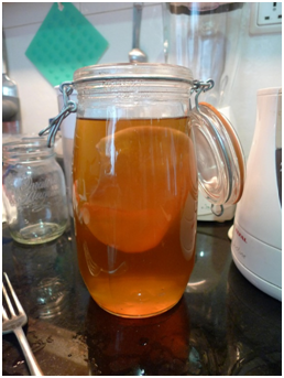 kombucha