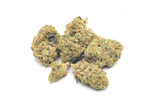 Top 5 Tips for Choosing the Best Medical Marijuana Dispensary
