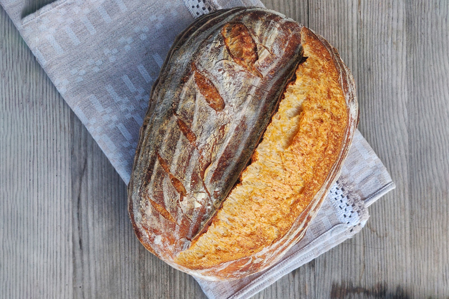 Popular Resurgence of Sourdough Ancient Recipe with Modern Art